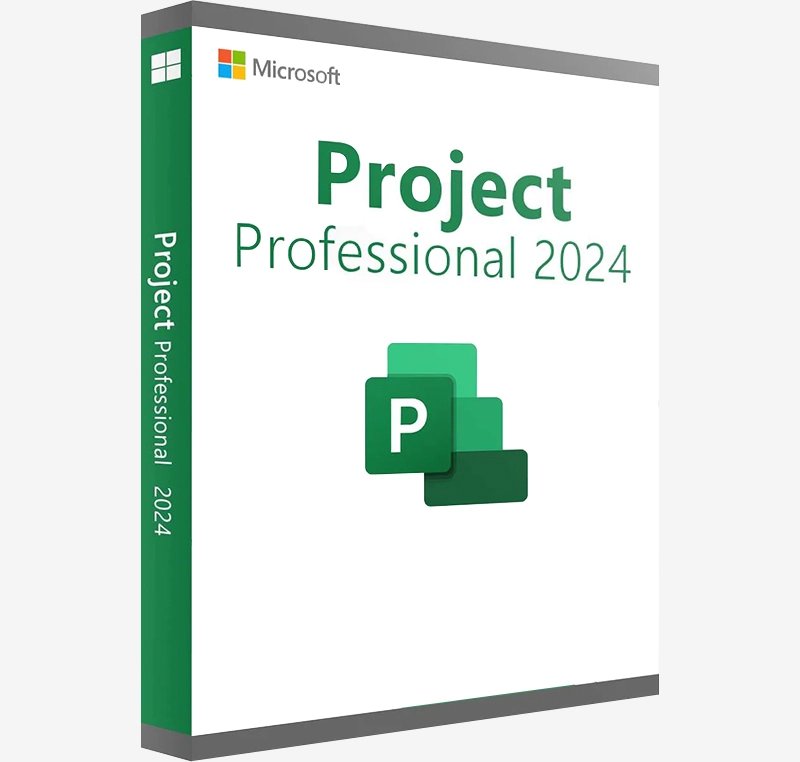 microsoft project professional